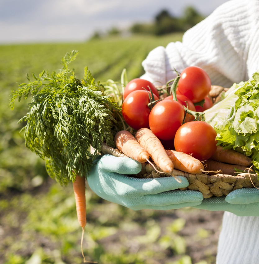 Food & Agro Industry